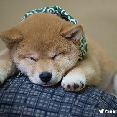 イイ男が好き。それだけ。