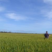 Colin Bowey (@colbowey) 's Twitter Profile