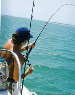 New Orleans native living in New England.  I tweet about rock & roll, the ocean, computers and scuba diving.