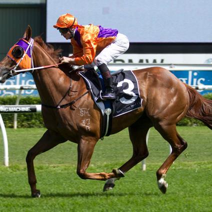 Tbred88's profile picture. 