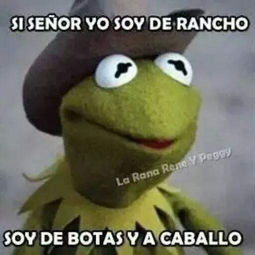 berna31887131's profile picture. 