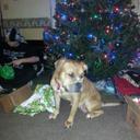 tracy pryor - @tap1218 - Twitter