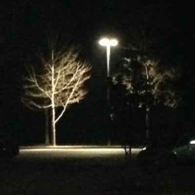 SuperAkStudios's profile picture. Certified Epic Turtle, YouTuber, Professional Referencer