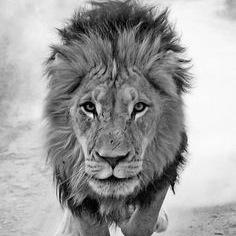 jabberandbabble's profile picture. 