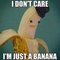 TLOUxTWD's profile picture. bye.