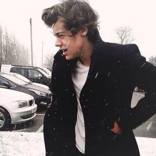 don't follow this account | free follow from @stephftstyles follow and ask for a followback x