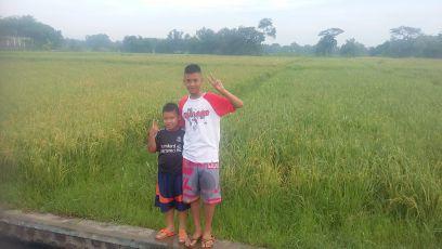 Fal_Naufal13's profile picture. #GGMU