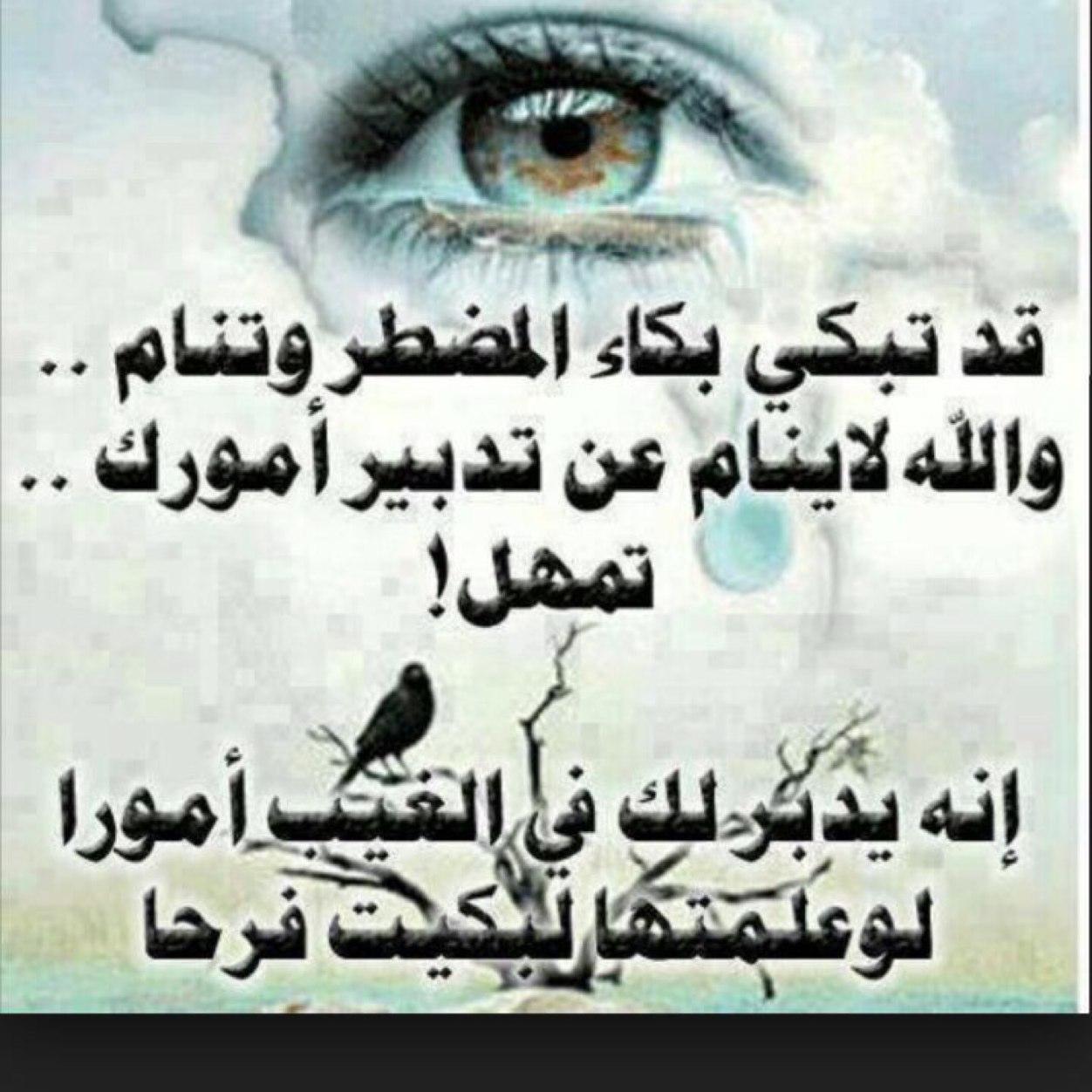 الجمايل دايمه و المناصب ماتدوم .✋ والكفو لو يندفن ماتندفن سمعته ✋AD844 استقرام. ✋✈️⁉️في المانيا : ميونخ
