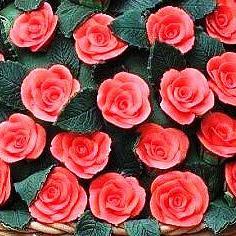 ♫, ❤.  ✿