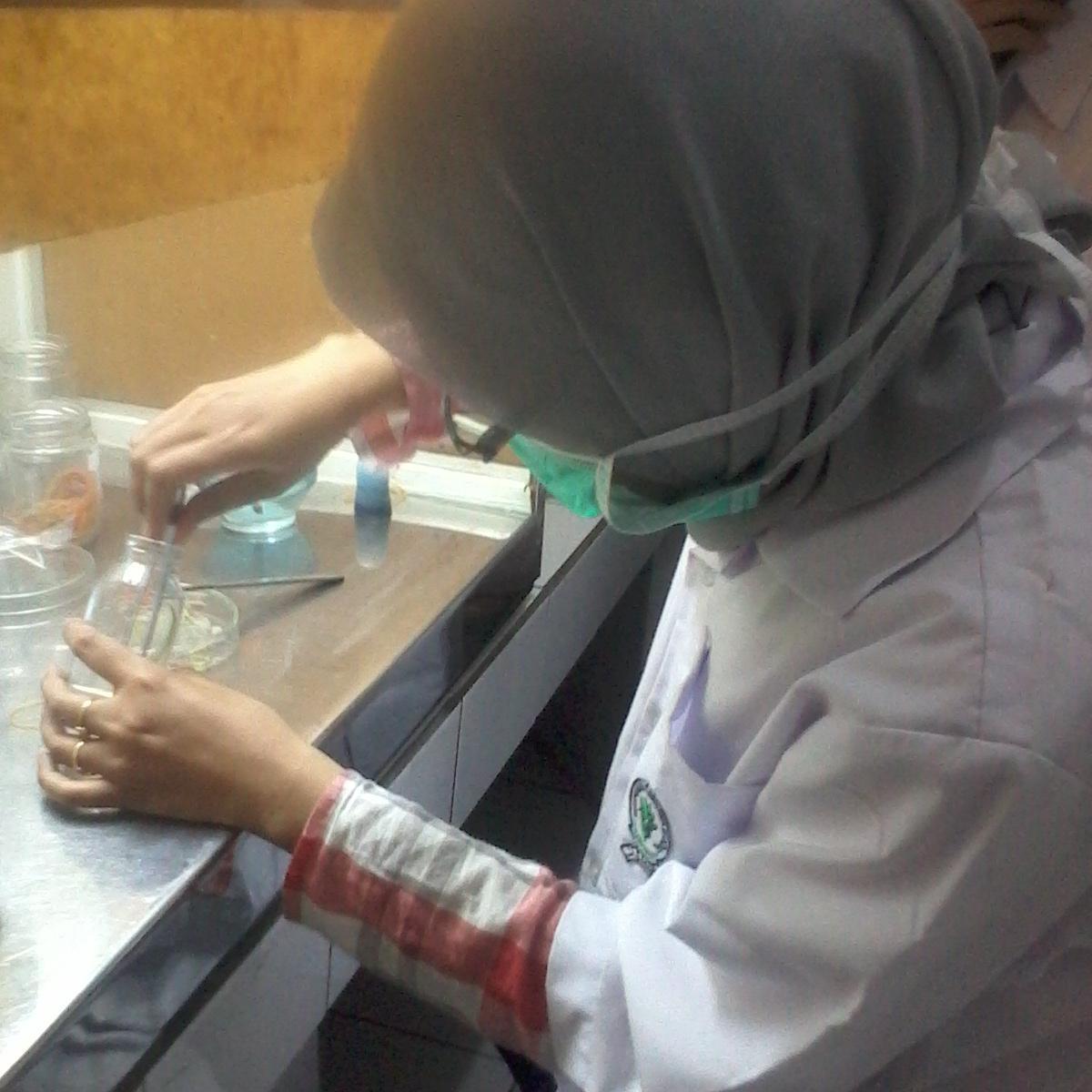 drahkma's profile picture. 