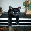 Reuben Davis - @ReubenDavis2 - Twitter