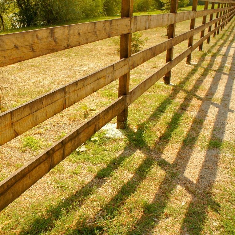 BroadMFencing's profile picture. Professional and reliable fencing company based in Middle Wallop