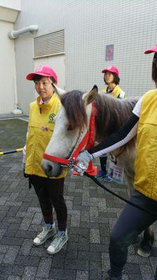 好きなアイドル
柊木りお→さくらちゃん→ヒイラギリオ 

加茂川マコト
他