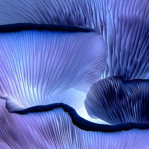 Addupio's profile picture. 