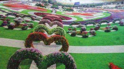 jadavanil11's profile picture. anil