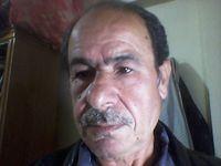 ale_mahmod's profile picture. 