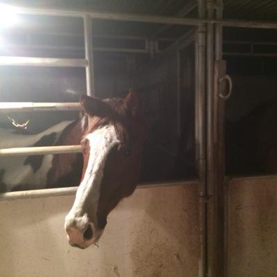 MLBsharp's profile picture. 