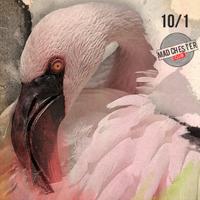Underground  (@fununderground) 's Twitter Profile
