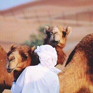 ‏.يَ سعد قلبي يوم ألمح بسمتك            kik: mahra_mr