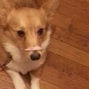 Jake Friedland - @Abassnamedjake - Twitter