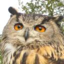 Alan Howes - @alanhowesworld - Twitter