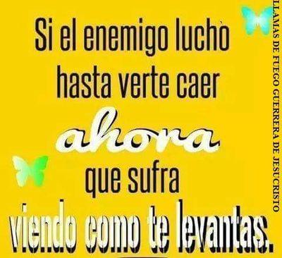 te amo solamente te amo