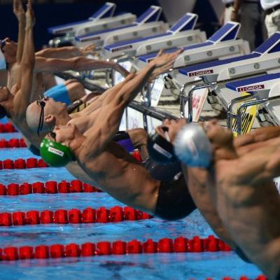 insegnantenuoto's profile picture. Istruttore di nuoto con pluriennale esperienza nel settore tecnico di insegnamento 
e decennale attività da atleta agonista..