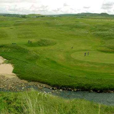 BirdieSquash's profile picture. 