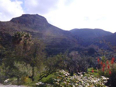 A Holistic, Wellbeing Retreat.Family Constellation, Talk Therapy, Holistic Treatments & Organic Food. Find an Inner Peace, Balance Mind, Body and Soul.