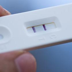 signpregnancy's profile picture. Signsofpregnancy24 .com provides you one of the best information regarding pregnancy. You will get every basic and advance symptom of pregnancy.