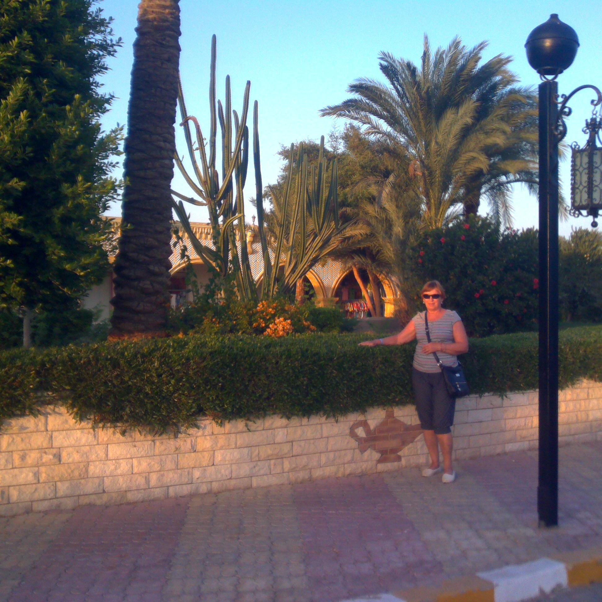 lmshamshina504's profile picture. 