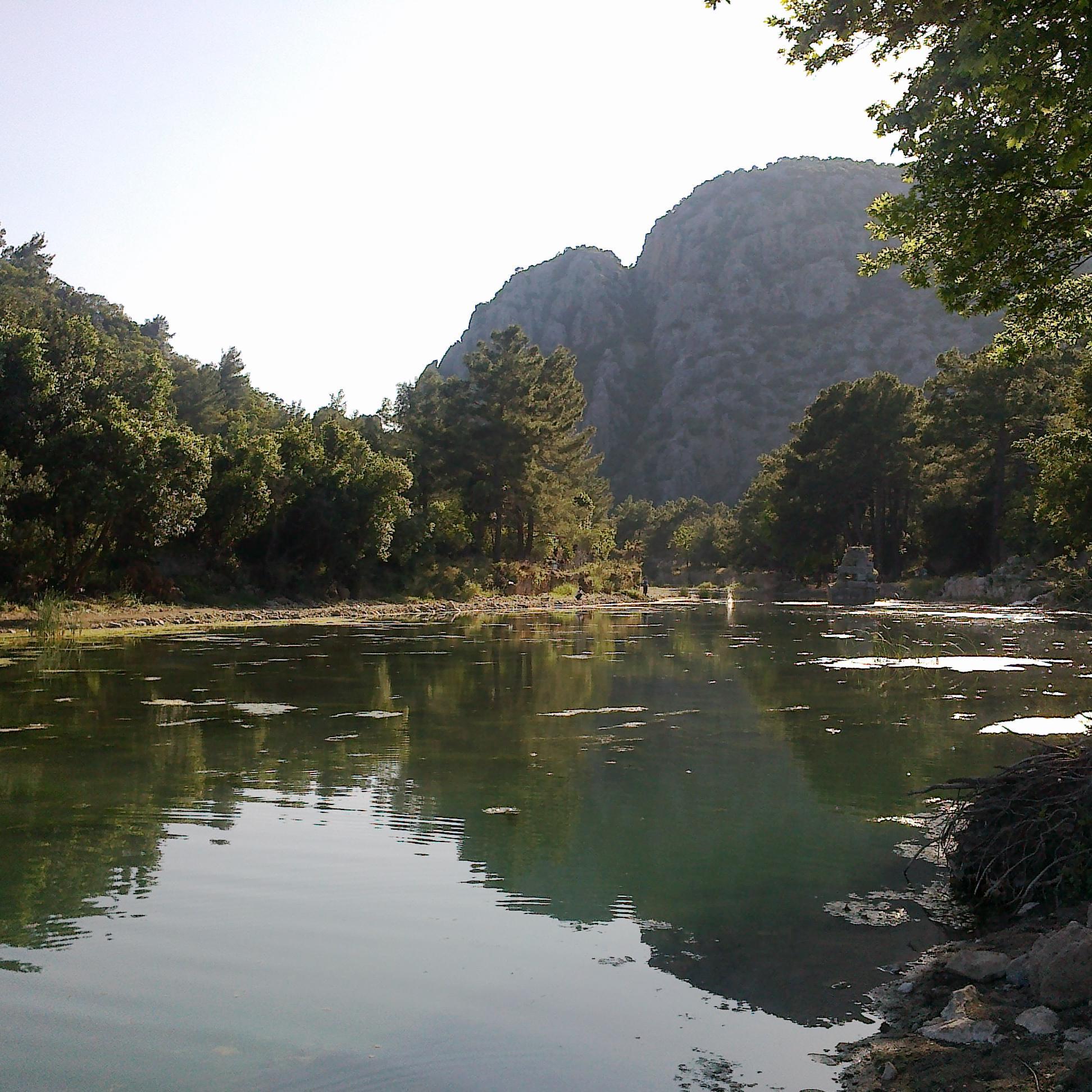 ftmdmr051's profile picture. 