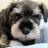 s__ponta's profile image