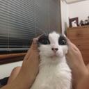 Keeley Thomas - @pipster318 - Twitter