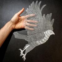 상식 (@totkdtlr3403) 's Twitter Profile