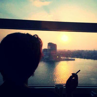 NohaElBaroudy's profile picture. 