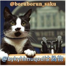 政党は支持してません。一人一人意思が違うのに何で群れないといけないかわからない　twitterの使い方よくわからない　時々ブックマークとやらを間違って押してる　リプ忘れる＆内容によって返信しません
移民反対ですが日本文化を尊重してくれる外国人には大感謝してます

昔セイチャットにいた恩人「さく」を探しています