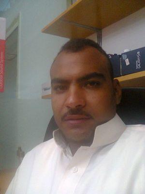 ‏الطير. الحزين