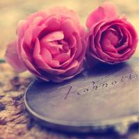 Radia Alhajj (@radia_alhajj) 's Twitter Profile
