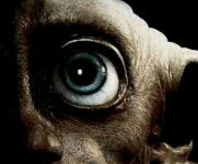 ex An Eye On You & still #teamfollowback #ifollowback #f4f #gainfollowerstweets
