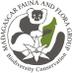 MFG (@madafaunaflora) Twitter profile photo MFG (@madafaunaflora) Twitter profile photo