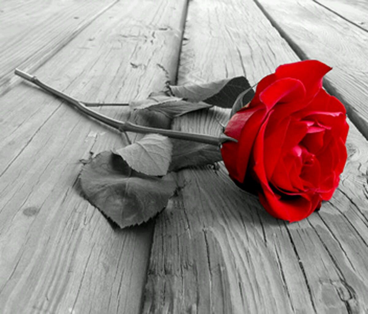 RoseBBeautique's profile picture. A beautique which offers image consultancy along with personal event/party planning and catering under one roof...because we can :-).