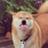 longgewoaini's profile image