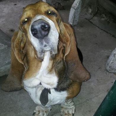 andrejorf's profile picture. 