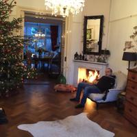 Sam Hasner (@samhasner) 's Twitter Profile Photo