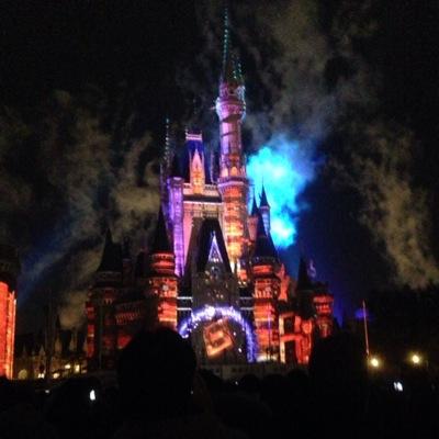 ディズニーランド！