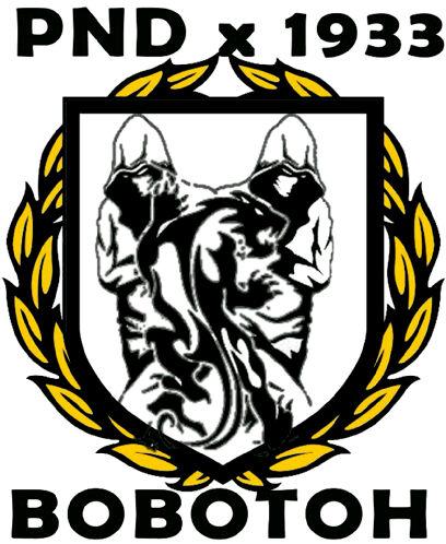 TIFOSI PERSIB