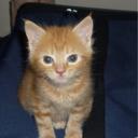 Peter Paterson - @peterpaterson21 - Twitter