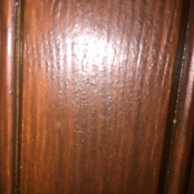 RestauranttGeno's profile picture. 