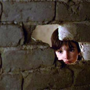 tweetarlyn's profile picture. number cruncher, popcorn bruncher